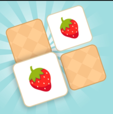 memory match